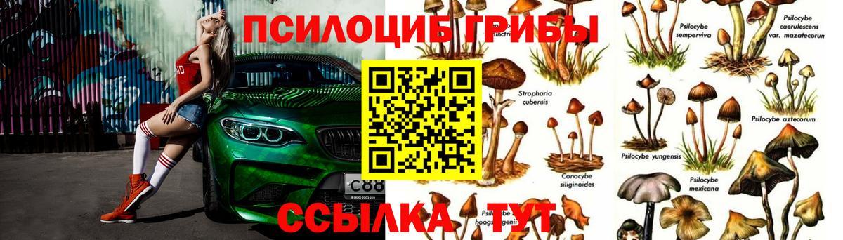 Тара  Галлюциногенные грибы ЛСД  Вход с VPN 