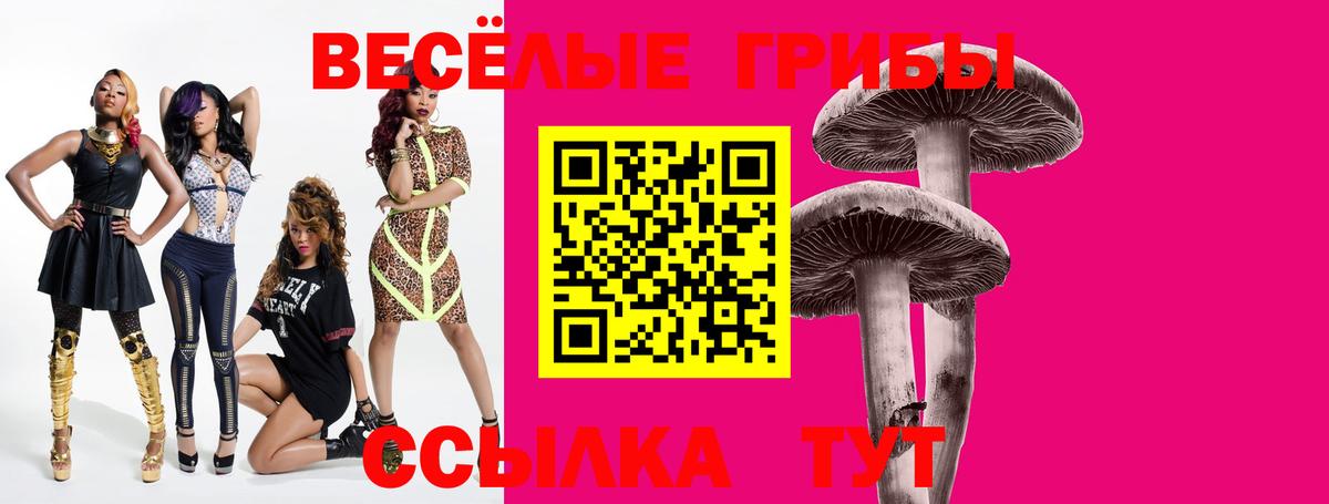 Галлюциногенные грибы Cubensis Тара